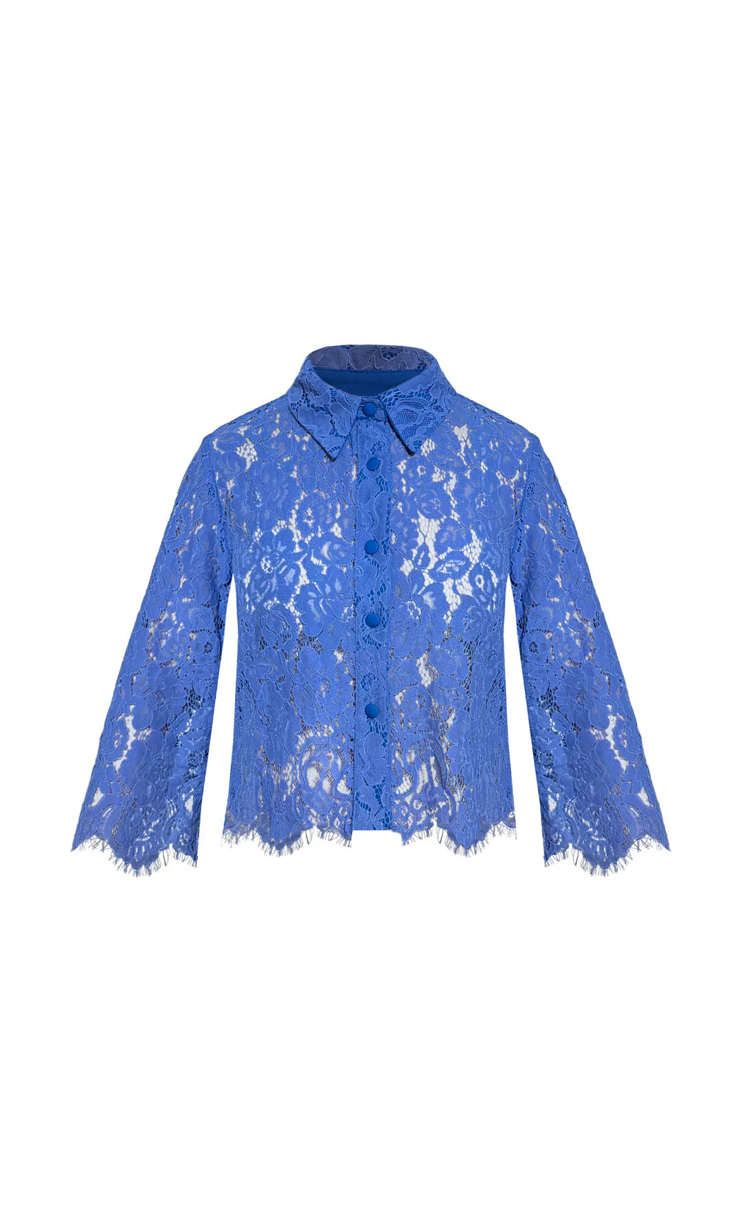 SET SCOBIOSA BLUE
